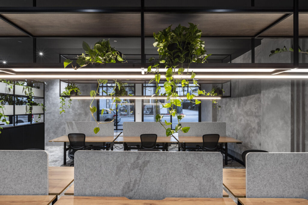 Celsius calls Elysian Subiaco home