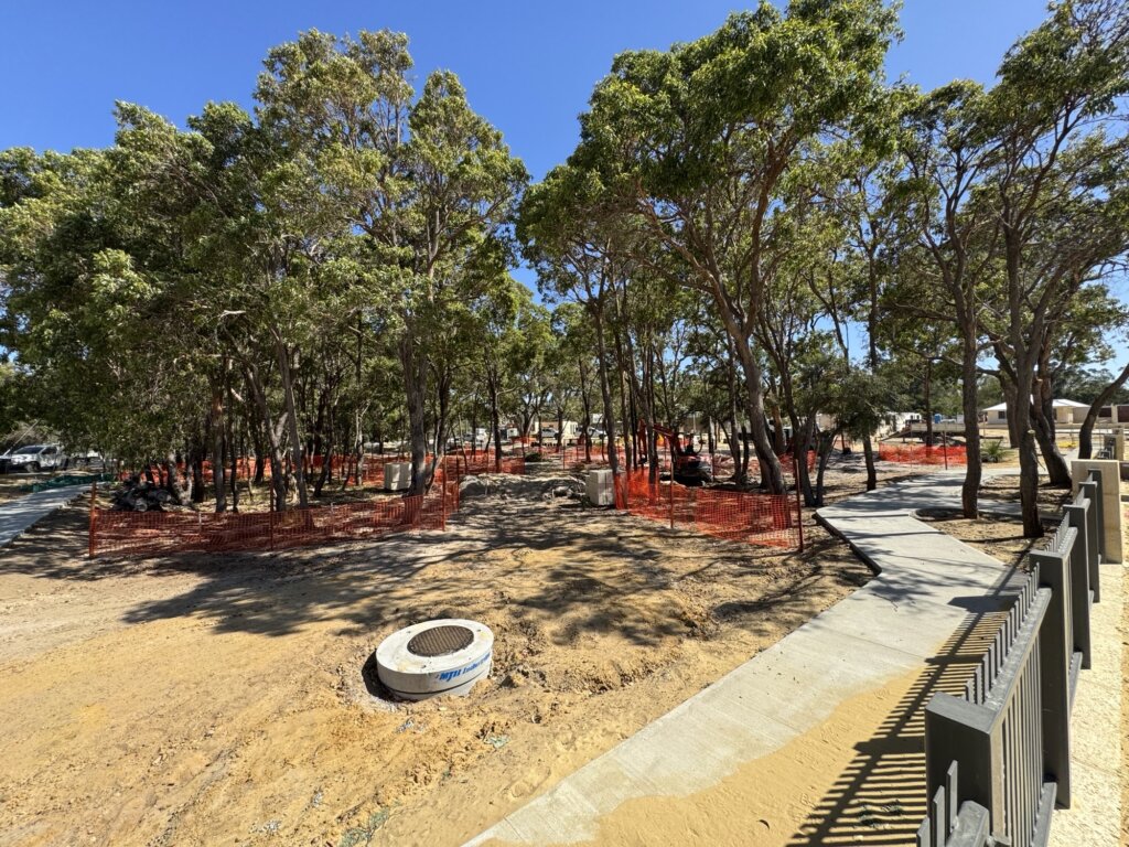 Celsius Land January 2026 Update