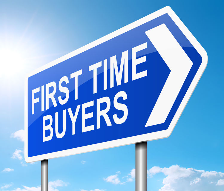 First Home Loan Deposit Scheme and Family Home Guarantee